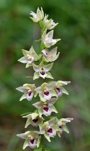 Reg. LOMBARDIA Prov. Brescia 02-08-2023