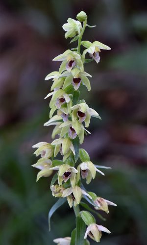 Reg. LOMBARDIA Prov. Brescia 07-08-2023