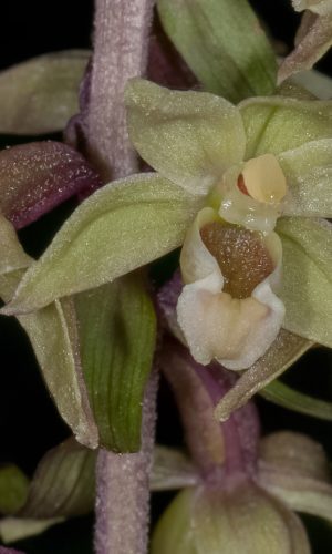 Reg. MARCHE Prov. Pesaro e Urbino 06-08-2011