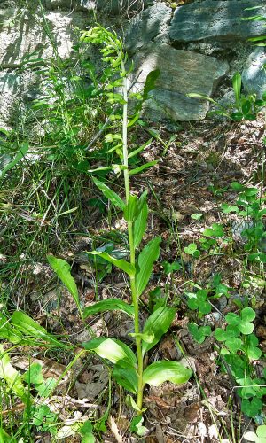 Reg. VALLE d'AOSTA Prov. Aosta 24-07-2019