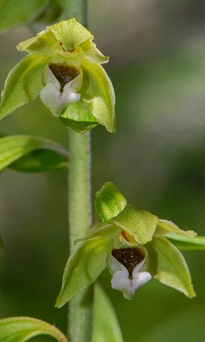 Reg. VALLE d'AOSTA Prov. Aosta 24-07-2019