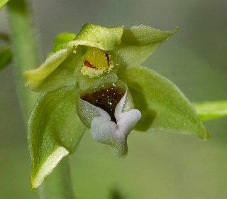 Reg. VALLE d'AOSTA Prov. Aosta 24-07-2019