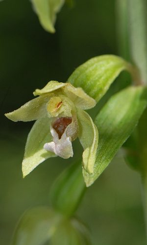 Reg. VALLE d'AOSTA Prov. Aosta 24-07-2019