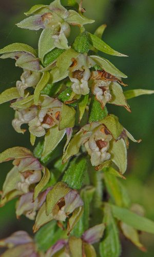 Reg. VALLE d'AOSTA Prov. Aosta 24-07-2019
