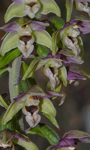 Reg. VALLE d'AOSTA Prov. Aosta 24-07-2019