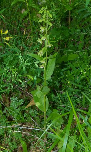 Reg. VALLE d'AOSTA Prov. Aosta 24-07-2019