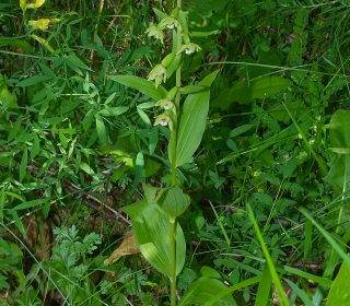 Reg. VALLE d'AOSTA Prov. Aosta 24-07-2019
