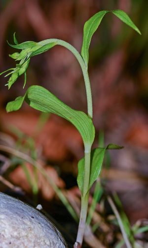 In boccio Reg. FRIULI-VENEZIA GIULIA Prov. Pordenone 22-07-2015