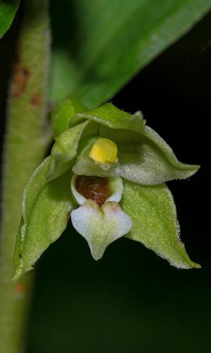 Reg. FRIULI-VENEZIA GIULIA Prov. Pordenone 30-07-2015