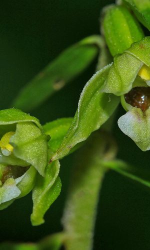 Reg. FRIULI-VENEZIA GIULIA Prov. Pordenone 30-07-2015