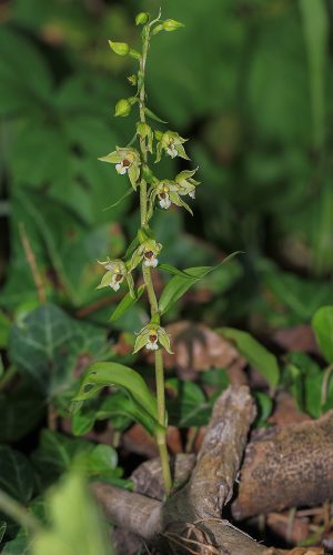 Reg. FRIULI-VENEZIA GIULIA Prov. Pordenone 01-08-2015