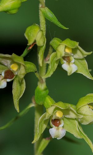 Reg. FRIULI-VENEZIA GIULIA Prov. Pordenone 01-08-2015