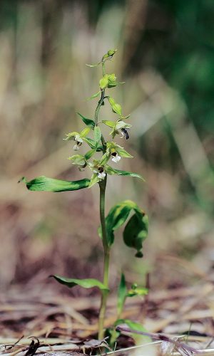 Reg. FRIULI-VENEZIA GIULIA Prov. Pordenone 01-08-2015