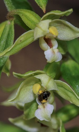 Reg. FRIULI-VENEZIA GIULIA Prov. Pordenone 01-08-2015