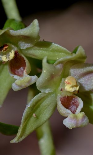 Reg. FRIULI-VENEZIA GIULIA Prov. Pordenone 05-08-2015