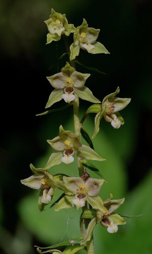 Reg. FRIULI-VENEZIA GIULIA Prov. Pordenone 05-08-2015