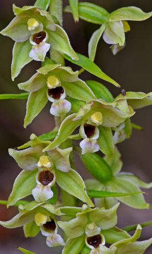 Reg. FRIULI-VENEZIA GIULIA Prov. Pordenone 21-08-2015