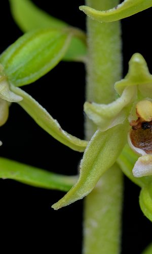 Reg. FRIULI-VENEZIA GIULIA Prov. Pordenone 21-08-2015