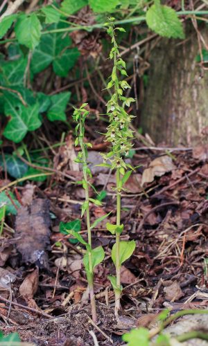 Reg. FRIULI-VENEZIA GIULIA Prov. Pordenone 21-08-2015