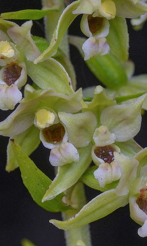 Reg. FRIULI-VENEZIA GIULIA Prov. Pordenone 21-08-2015