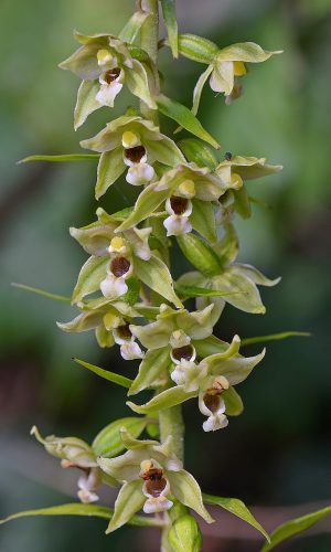 Reg. FRIULI-VENEZIA GIULIA Prov. Pordenone 21-08-2015