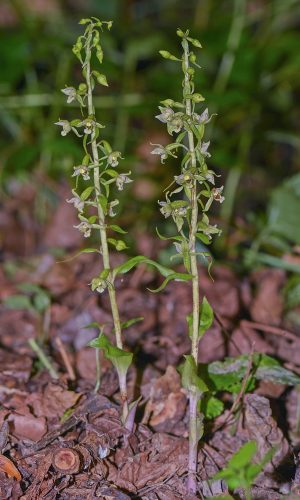 Reg. FRIULI-VENEZIA GIULIA Prov. Pordenone 10-09-2015