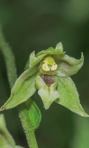 Reg. FRIULI-VENEZIA GIULIA Prov. Pordenone 26-09-2015