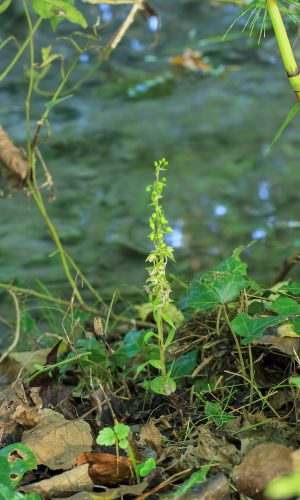 Reg. FRIULI-VENEZIA GIULIA Prov. Pordenone 09-10-2015