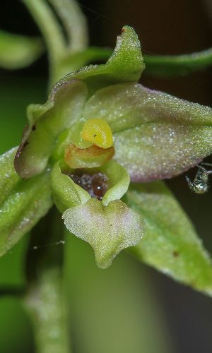 Reg. FRIULI-VENEZIA GIULIA Prov. Pordenone 17-10-2015