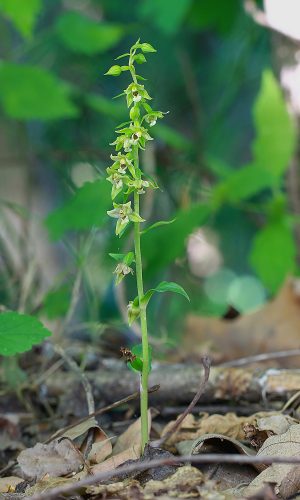 Reg. FRIULI-VENEZIA GIULIA Prov. Pordenone 04-08-2016
