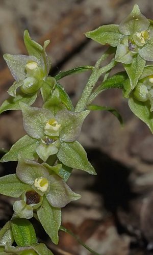 Reg. FRIULI-VENEZIA GIULIA Prov. Pordenone 17-08-2016
