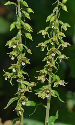 Reg. FRIULI-VENEZIA GIULIA Prov. Pordenone 17-08-2016