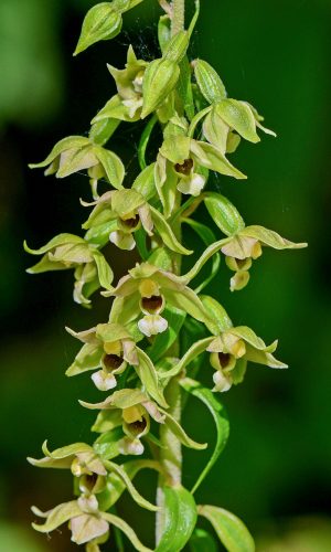 Reg. FRIULI-VENEZIA GIULIA Prov. Pordenone 17-08-2016