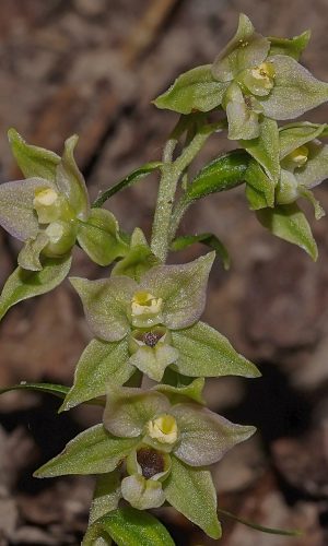 Reg. FRIULI-VENEZIA GIULIA Prov. Pordenone 17-08-2016