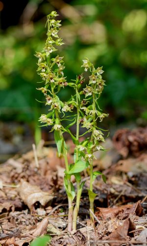 Reg. FRIULI-VENEZIA GIULIA Prov. Pordenone 17-08-2016