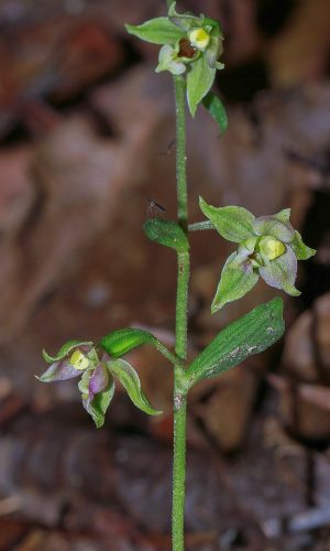 Reg. FRIULI-VENEZIA GIULIA Prov. Pordenone 07-10-2016