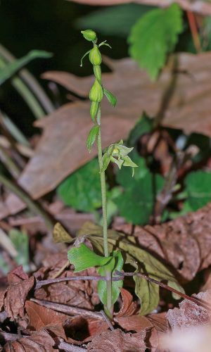 Reg. FRIULI-VENEZIA GIULIA Prov. Pordenone 07-09-2017