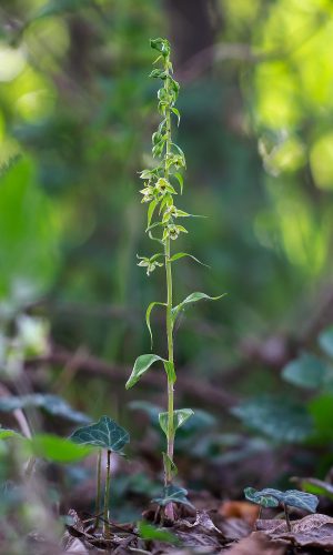 Reg. FRIULI-VENEZIA GIULIA Prov. Pordenone 28-08-2020