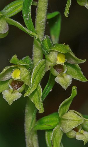 Reg. FRIULI-VENEZIA GIULIA Prov. Pordenone 28-08-2020