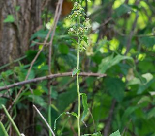 Reg. FRIULI-VENEZIA GIULIA Prov. Pordenone 28-08-2020