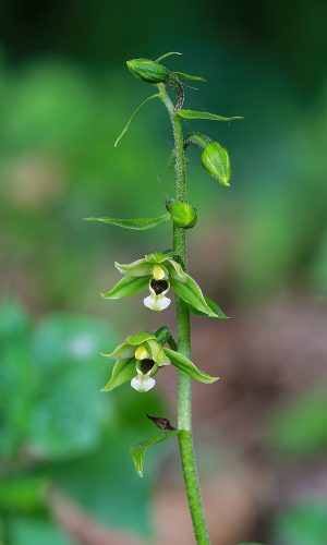 Reg. FRIULI-VENEZIA GIULIA Prov. Pordenone 28-08-2020