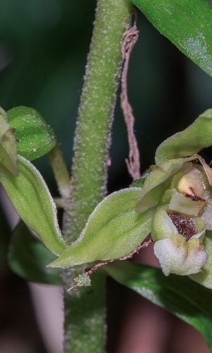 Reg. FRIULI-VENEZIA GIULIA Prov. Pordenone 20-08-2021