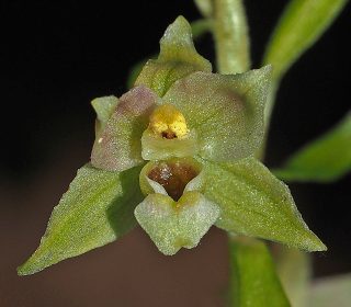 Reg. FRIULI-VENEZIA  GIULIA Prov. Pordenone 26-08-2022