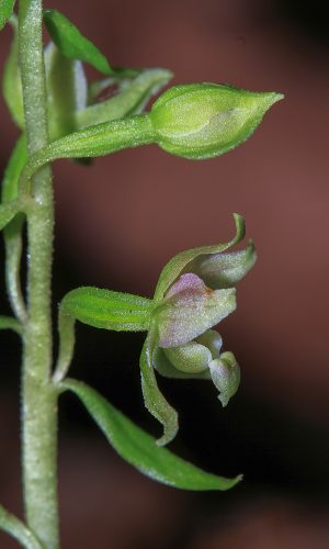 Reg. FRIULI-VENEZIA GIULIA Prov. Pordenone 26-08-2022