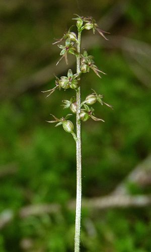 Reg. VENETO Prov. Belluno 17-06-2023