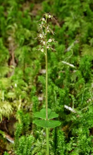Reg. VENETO Prov. Belluno 17-06-2023