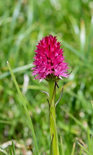 Reg. TRENTINO-ALTO ADIGE Prov. Trento 11-07-2023