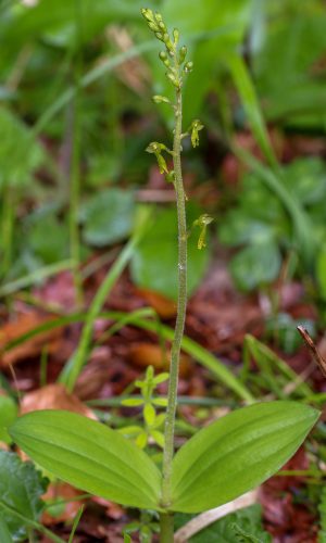 Reg. TOSCANA Prov. Siena 05-05-2019