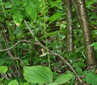 Reg. VENETO Prov. Vicenza 27-06-2023