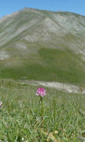 Reg. ABRUZZO Prov. L'Aquila 15-06-2024